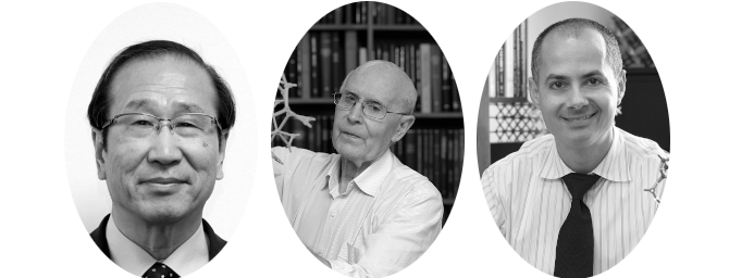 Kitagawa, Robson & Yagui