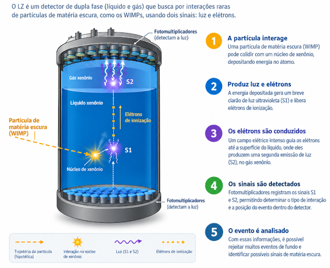 Funcionamento do LUX-ZEPLIN