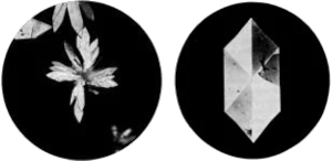 Alfa-caroteno e beta-caroteno