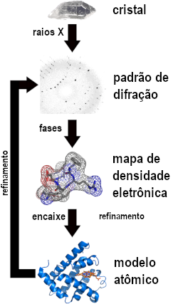 Cristalografia de raios X